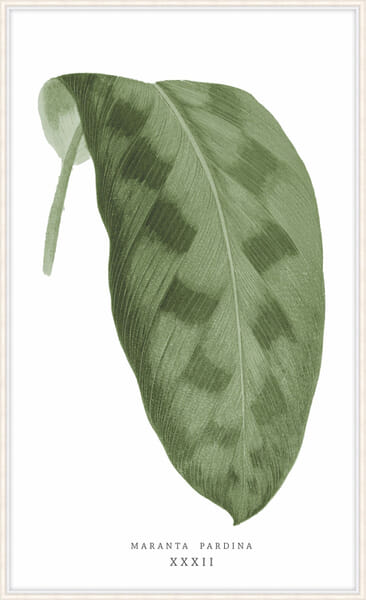 Green Trace 1 Green Trace 1