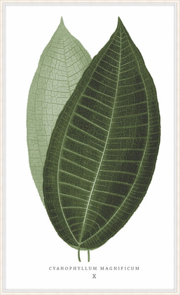 Green Trace 2 Green Trace 2