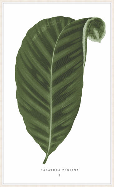Green Trace 3