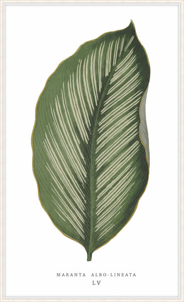 Green Trace 4 Green Trace 4