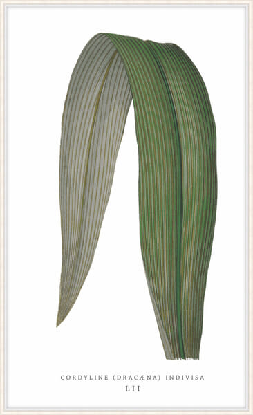 Green Trace 5 Green Trace 5
