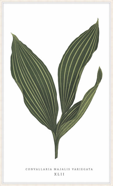 Green Trace 6 Green Trace 6