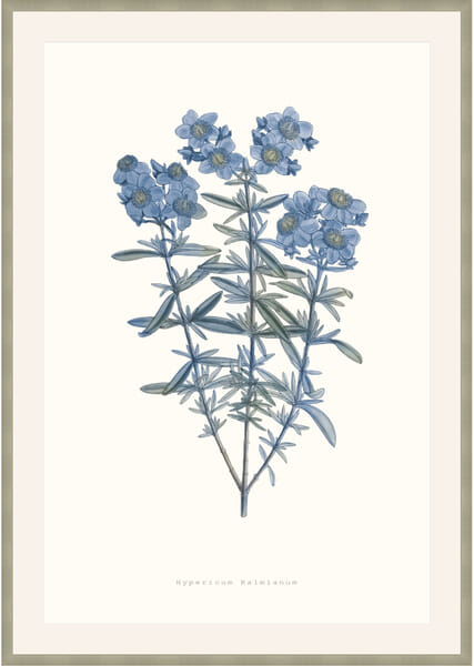 Bouquet Blue 3 Bouquet Blue 3