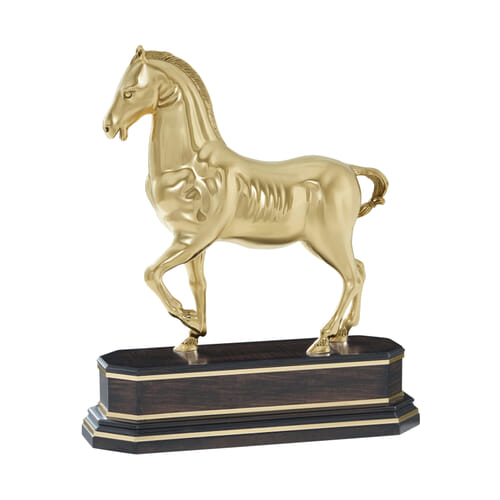 Dressage Dressage