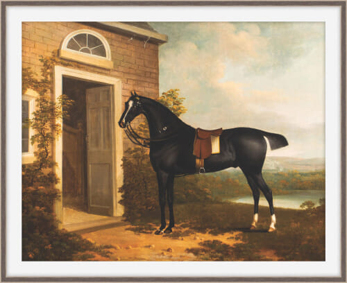 Riding Retreat 3