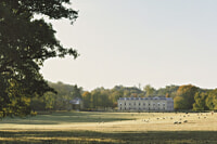 Althorp - Victory Oak