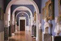 Althorp - Victory Oak