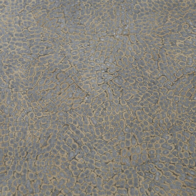 Eggshell