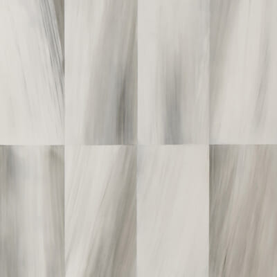 Bone/Horn